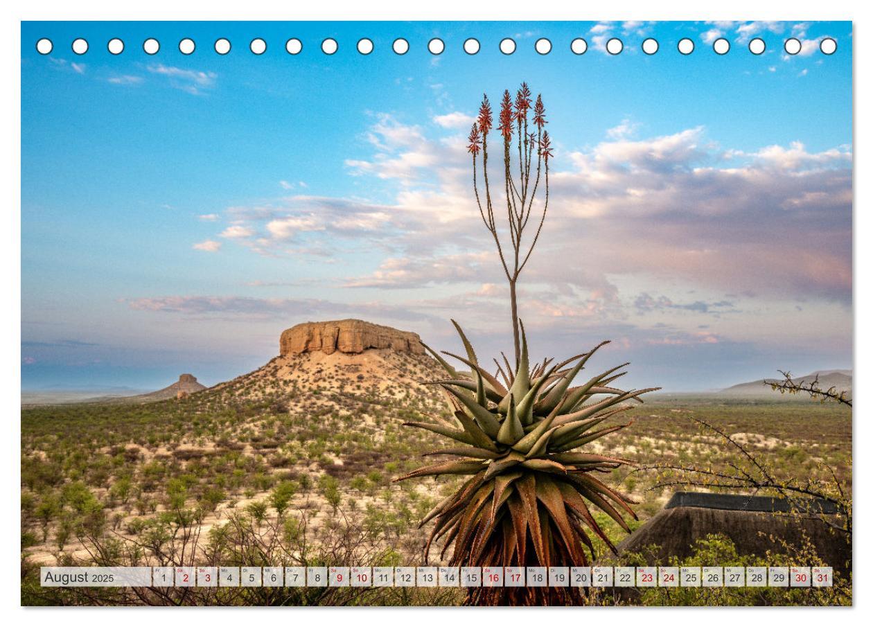 Bild: 9783383853807 | Abenteuerliches Namibia (Tischkalender 2025 DIN A5 quer), CALVENDO...