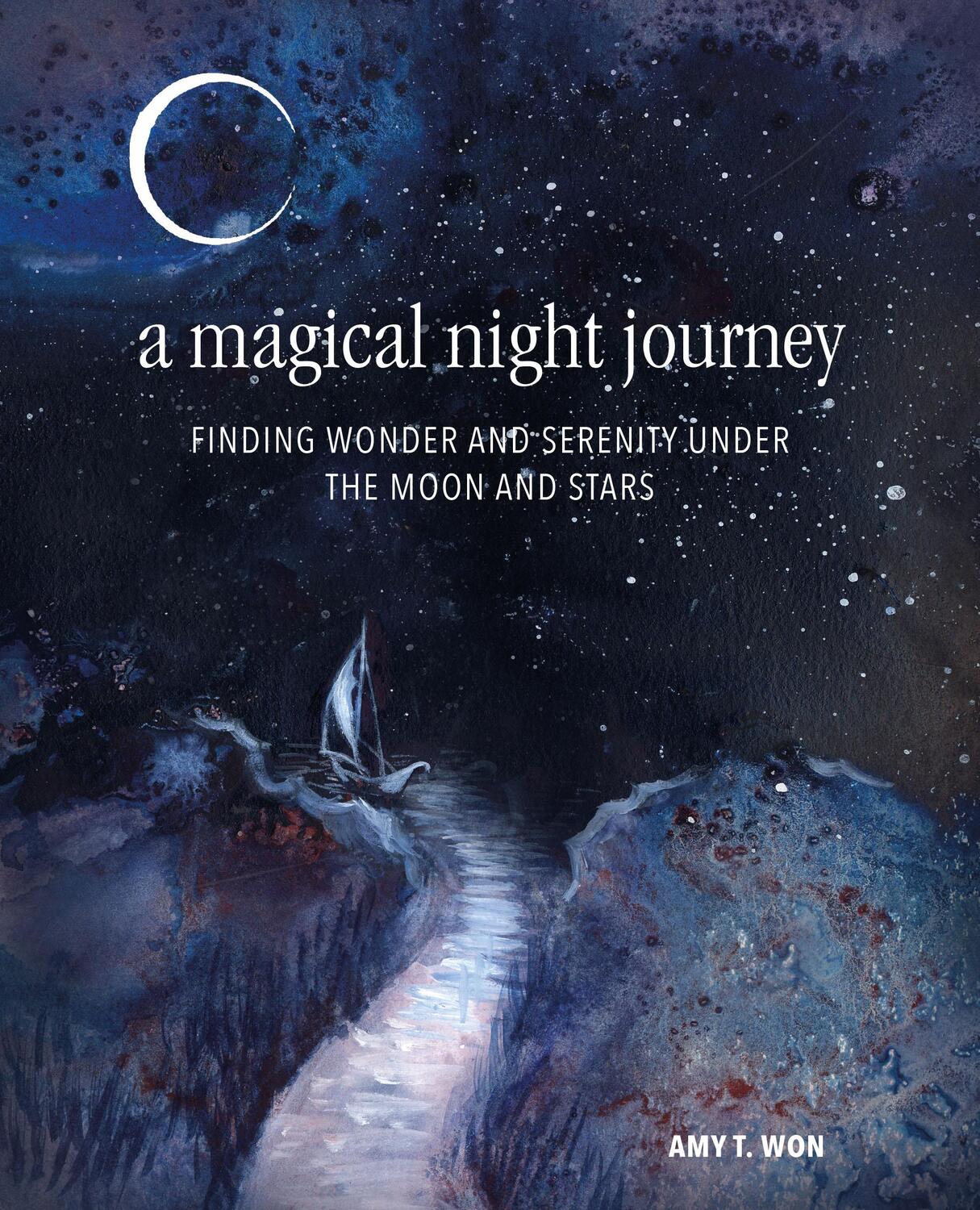 Cover: 9781782499251 | A Magical Night Journey | Amy T Won | Buch | Gebunden | Englisch