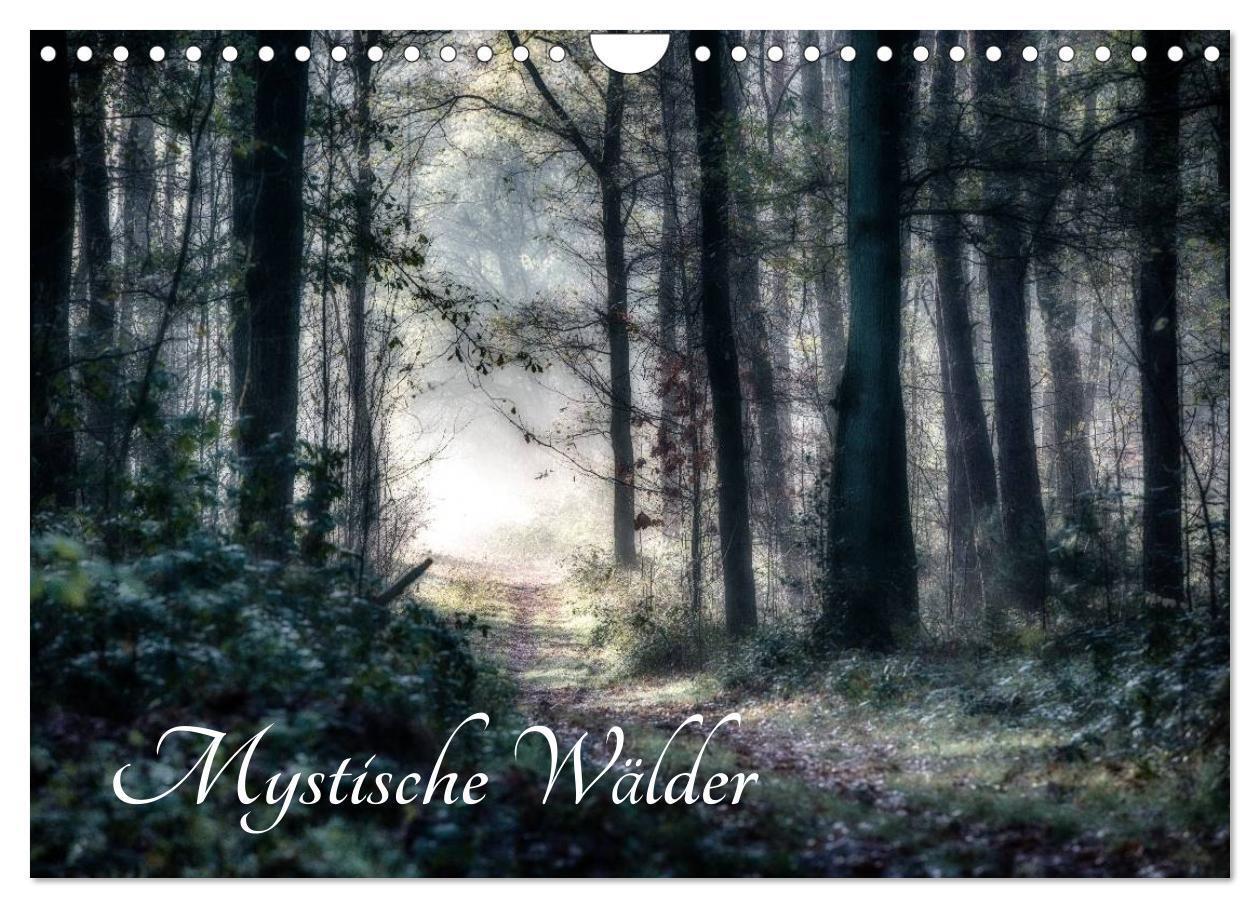 Cover: 9783435501502 | Mystische Wälder (Wandkalender 2025 DIN A4 quer), CALVENDO...