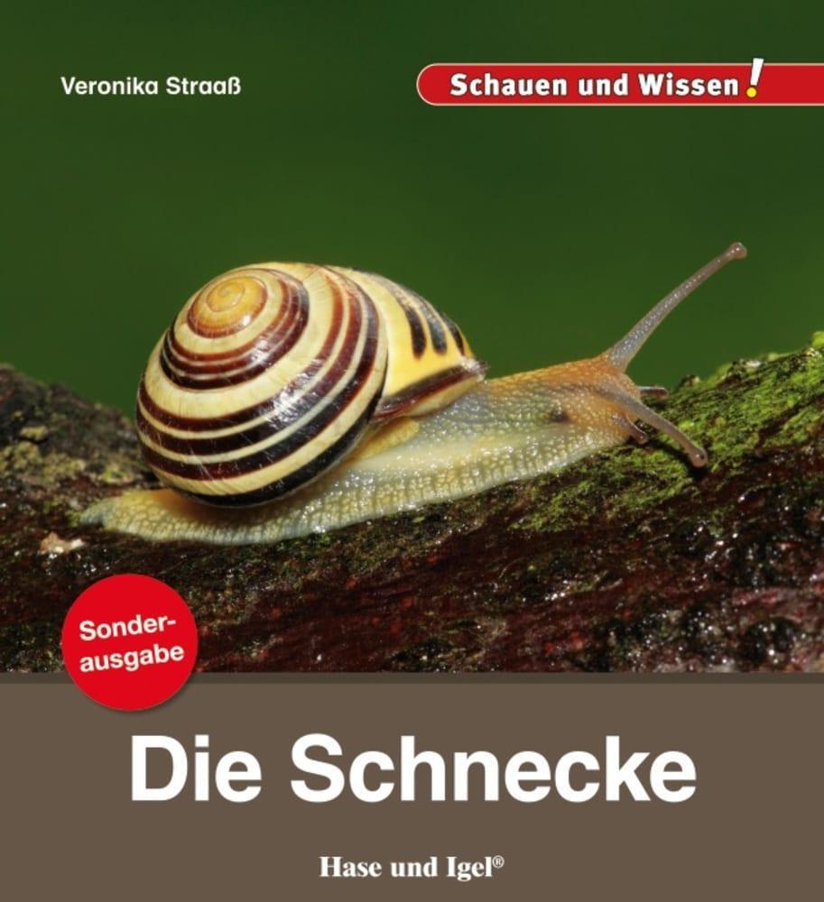 Cover: 9783863163501 | Die Schnecke / Sonderausgabe | Schauen und Wissen! | Veronika Straaß