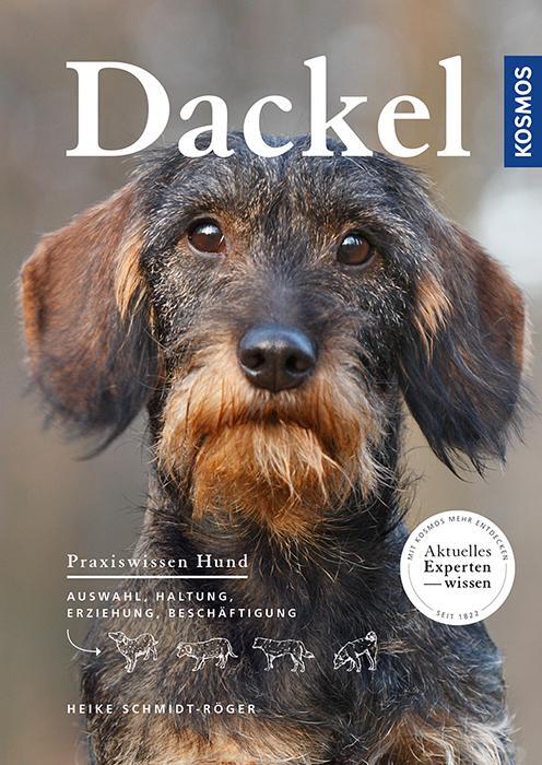 Cover: 9783440151310 | Dackel | Praxiswissen Hund Auswahl, Haltung, Erziehung, Beschäftigung