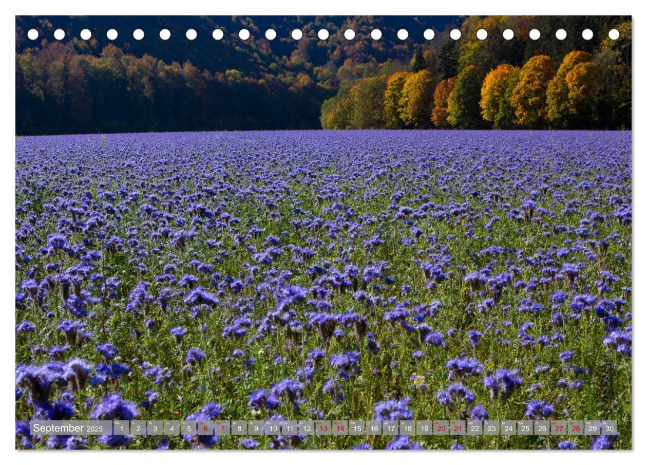 Bild: 9783383801600 | Wunderschöne schwäbische Alb (Tischkalender 2025 DIN A5 quer),...