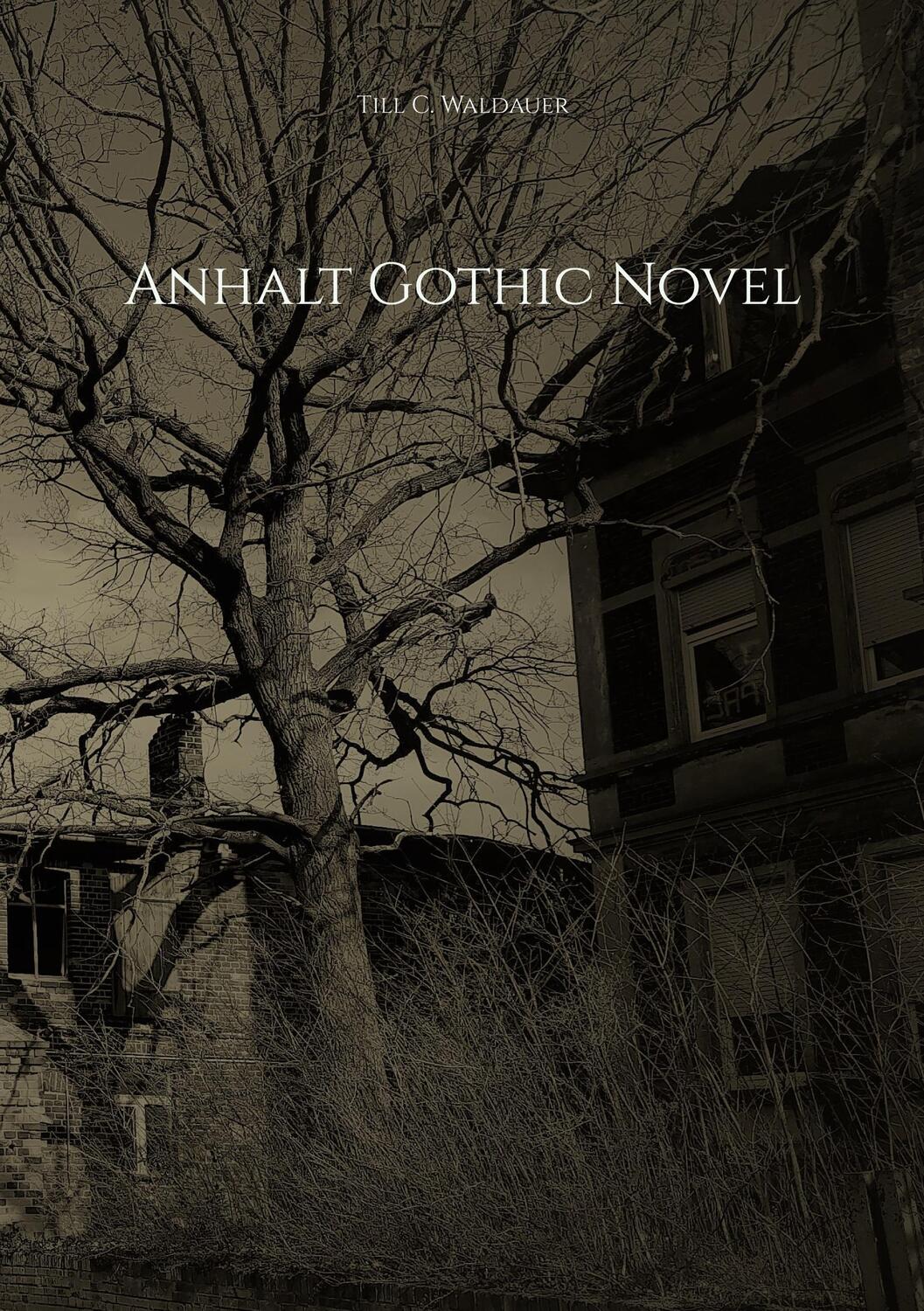 Cover: 9783756842599 | Anhalt Gothic Novel | Till C. Waldauer | Taschenbuch | Paperback