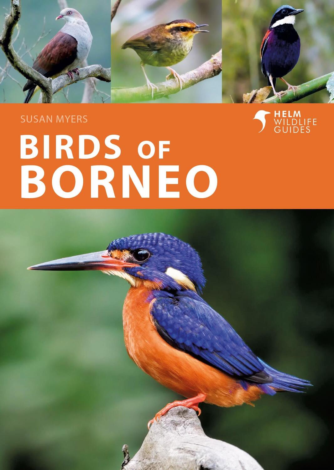 Cover: 9781472986900 | Birds of Borneo | Ms Susan Myers | Taschenbuch | Helm Wildlife Guides