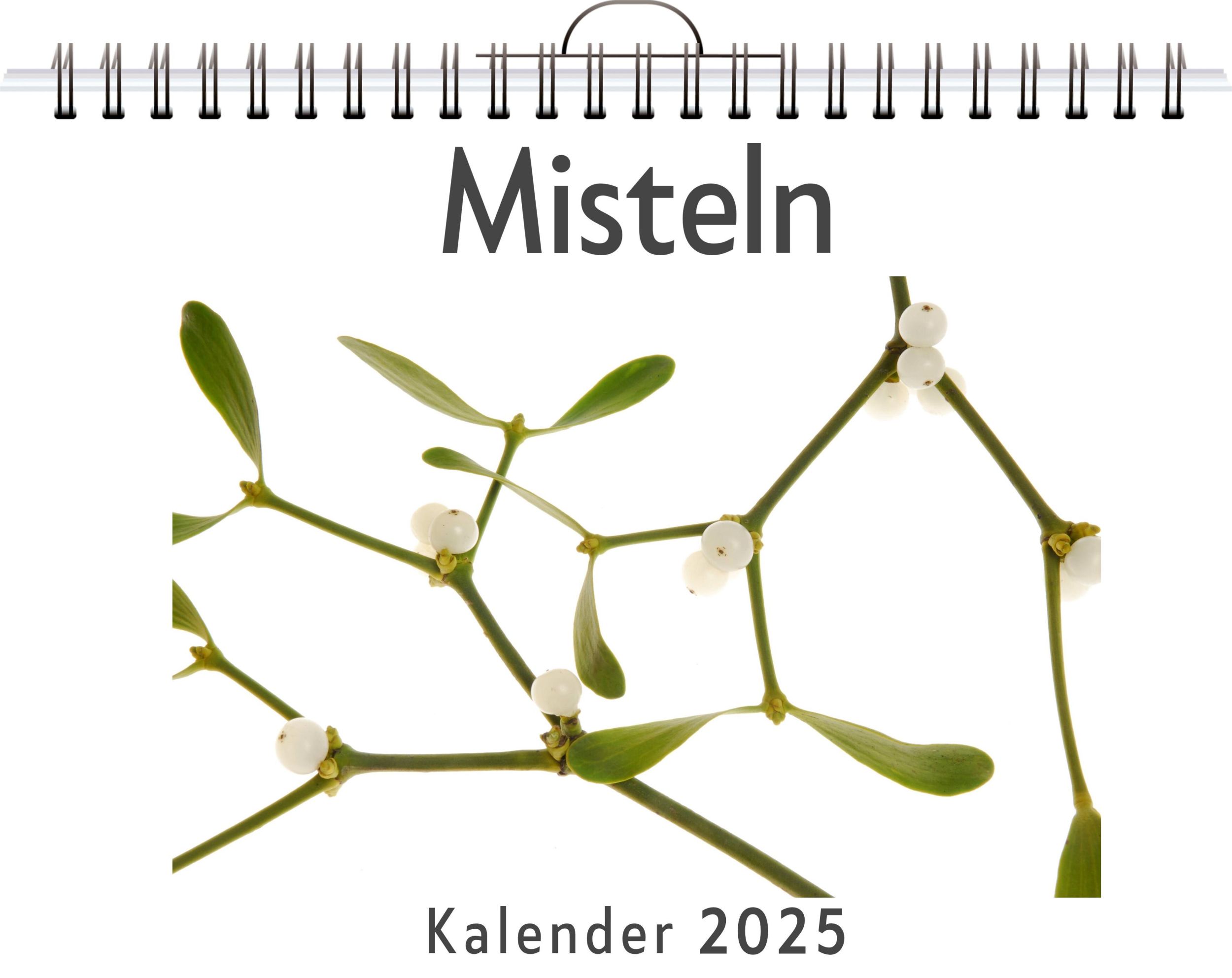 Cover: 9783759120946 | Misteln | Leon Neumann | Kalender | Kalender | 14 S. | Deutsch