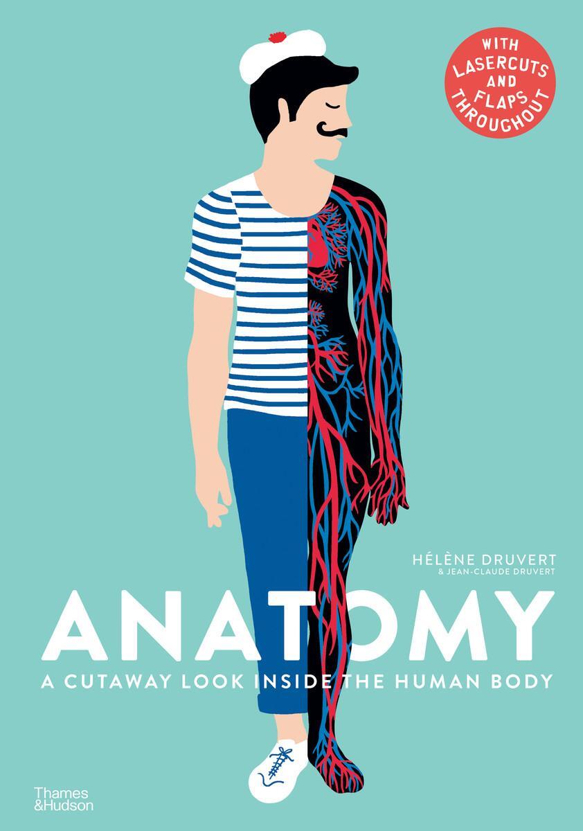 Cover: 9780500651360 | Anatomy | A Cutaway Look Inside the Human Body | Hélène Druvert | Buch