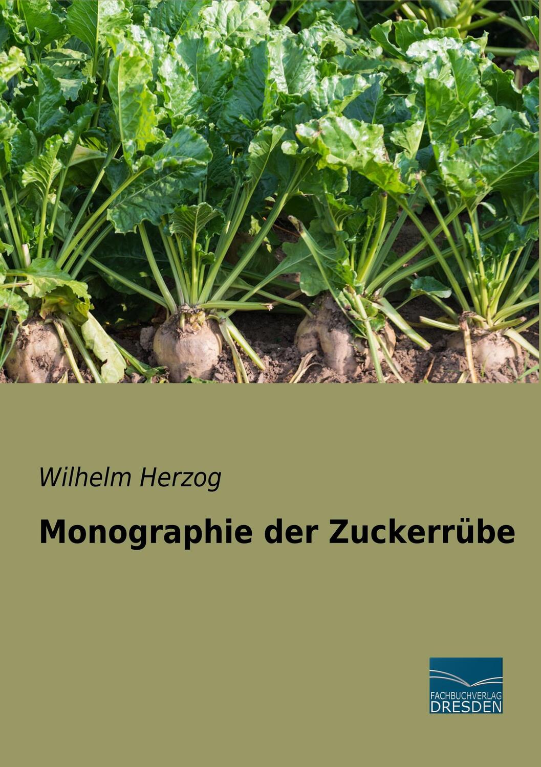 Cover: 9783961690350 | Monographie der Zuckerrübe | Wilhelm Herzog | Taschenbuch | Paperback