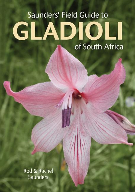 Cover: 9781775847618 | Saunders' Field Guide to Gladioli of South Africa | Saunders (u. a.)