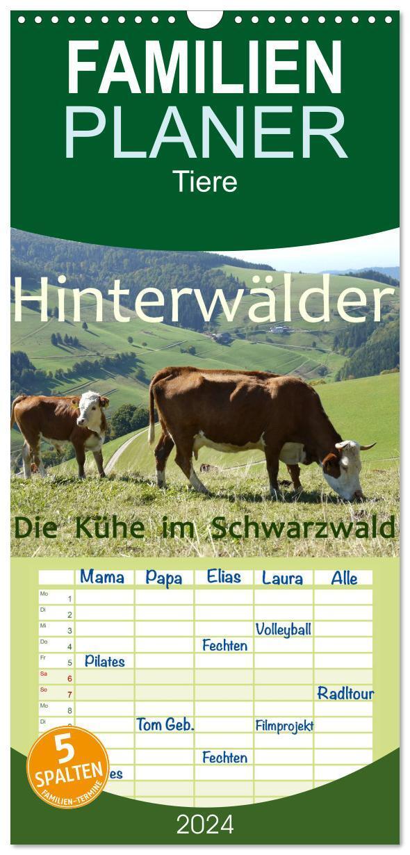 Cover: 9783383082177 | Familienplaner 2024 - Hinterwälder - Die Kühe aus dem Schwarzwald...