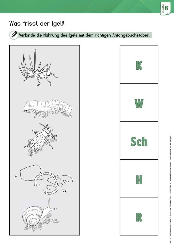 Bild: 9783769824834 | Arbeitsmaterial Grundschule. Sachunterricht: Wie lebt der Igel?, m....