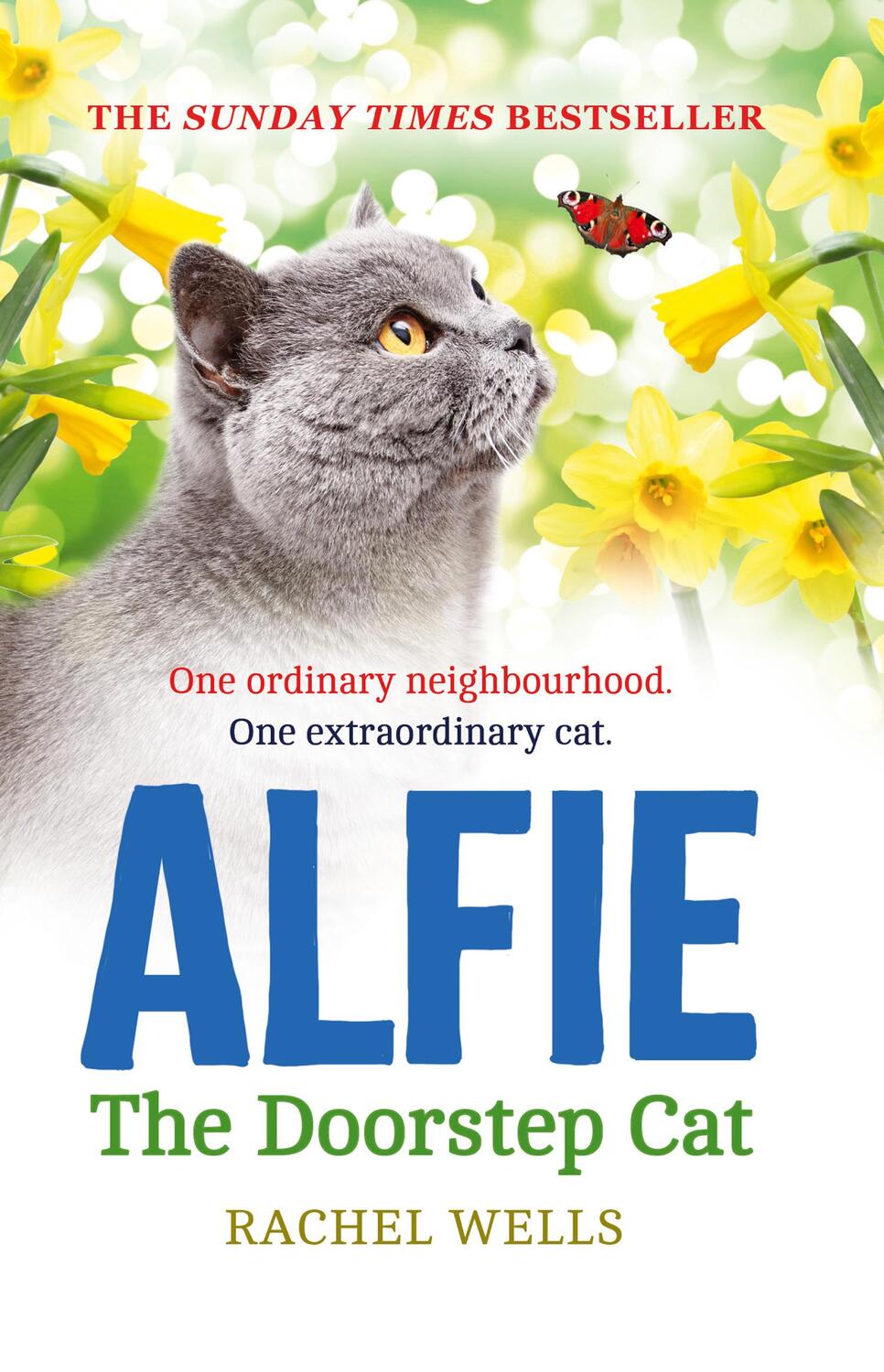 Cover: 9780008133153 | Alfie the Doorstep Cat | Rachel Wells | Taschenbuch | Alfie series