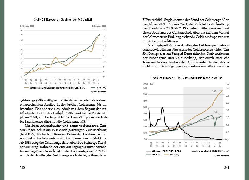 Bild: 9783711003058 | Das Inflationsgespenst | Eine Weltgeschichte von Geld und Wert | Mayer