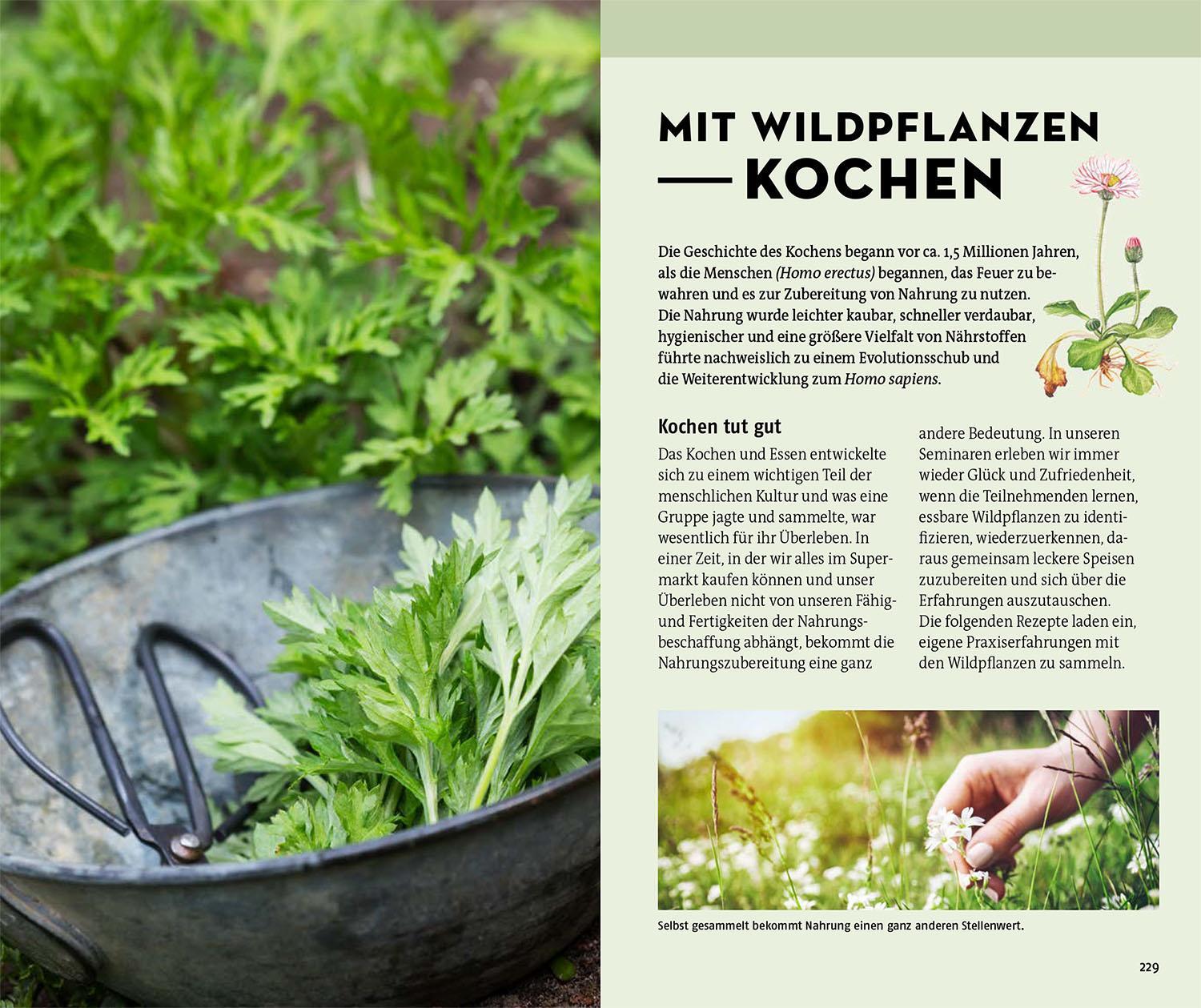 Bild: 9783440179994 | Welche essbare Wildpflanze ist das? | Christa Bastgen (u. a.) | Buch