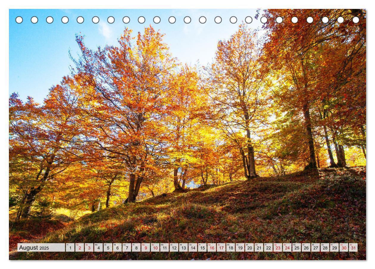 Bild: 9783457037164 | Herbstflammen im Karwendel- und Wettersteingebirge (Tischkalender...