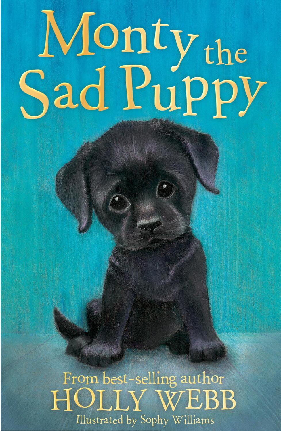 Cover: 9781847157737 | Monty the Sad Puppy | Holly Webb | Taschenbuch | Englisch | 2017