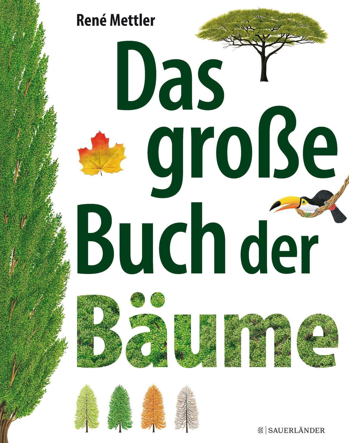 Cover: 9783737356459 | Das große Buch der Bäume | René Mettler | Buch | 56 S. | Deutsch