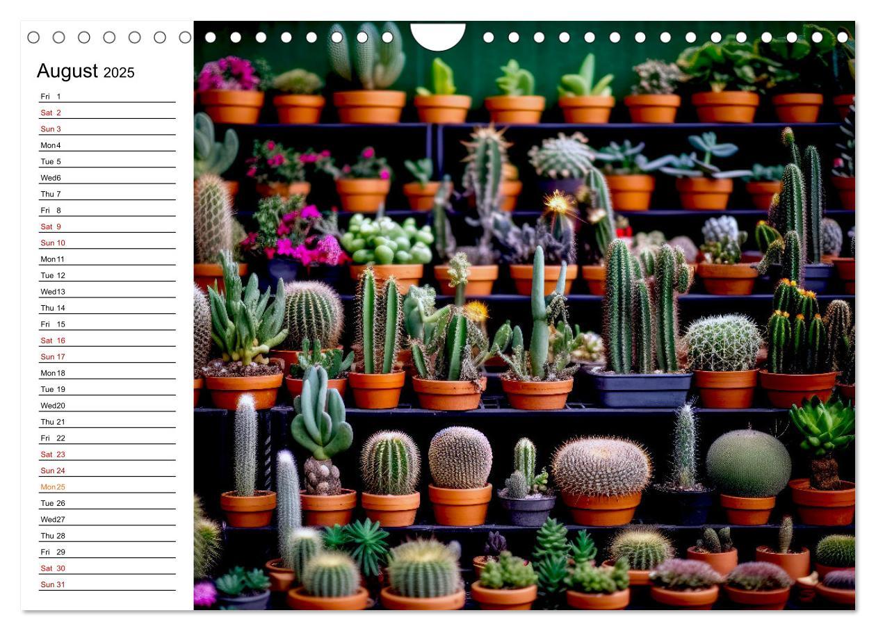 Bild: 9781325833092 | Cacti Wonderland (Wall Calendar 2025 DIN A4 landscape), CALVENDO 12...