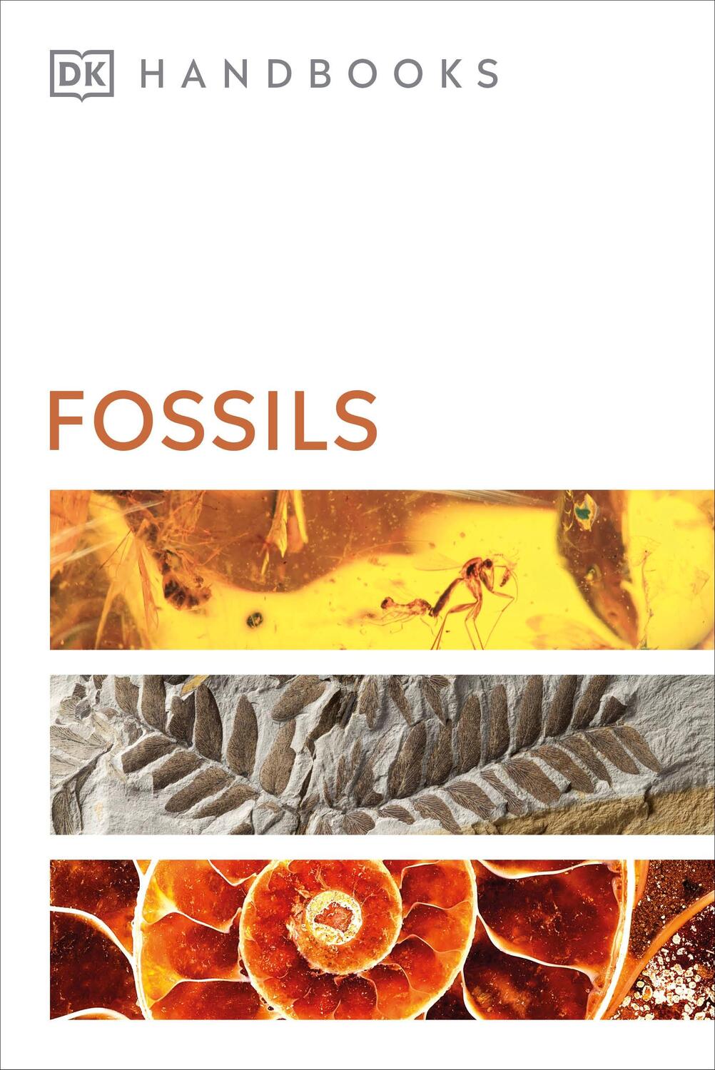 Cover: 9780241471432 | Fossils | DK (u. a.) | Taschenbuch | DK Handbooks | Englisch | 2021