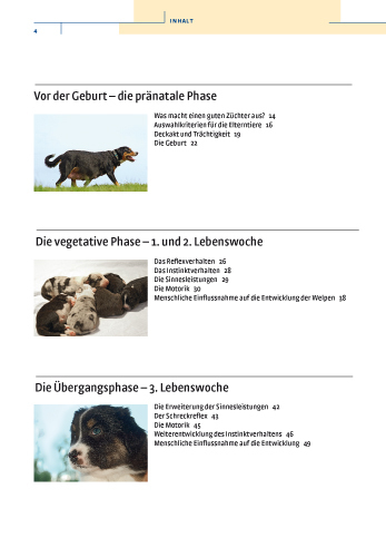 Bild: 9783440112342 | Vom Welpen zum Familienhund mit Natural Dogmanship | Jan Nijboer