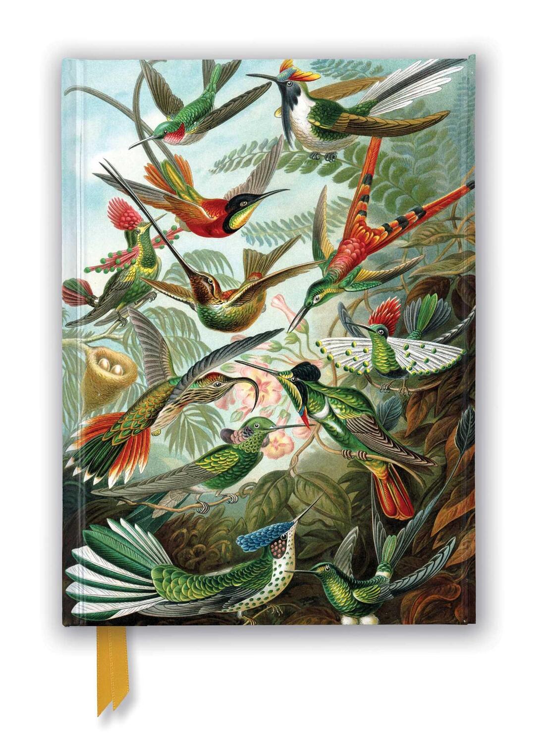 Cover: 9781839648953 | Ernst Haeckel: Hummingbirds (Foiled Journal) | Buch | 176 S. | 2022