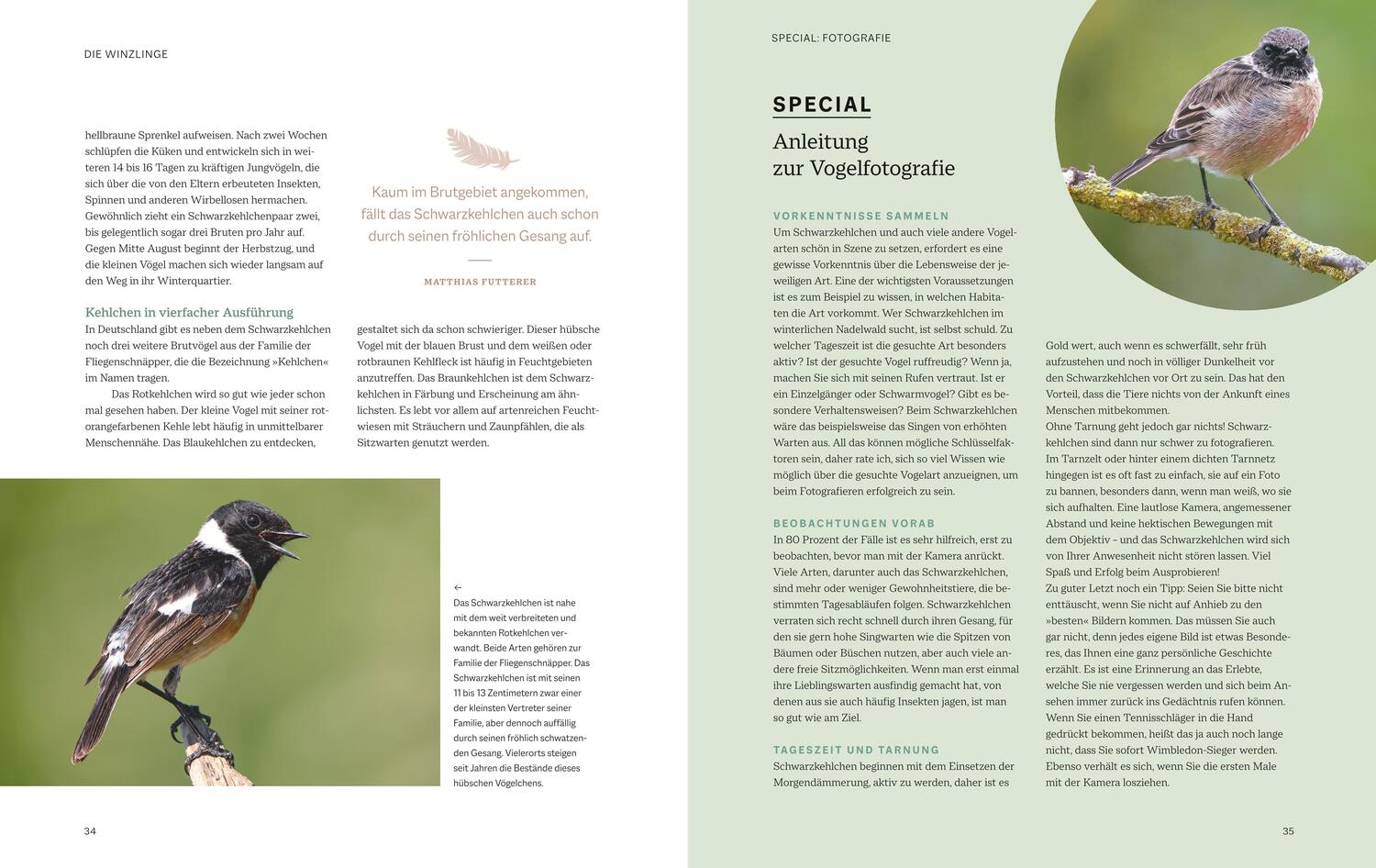 Bild: 9783967470796 | Die magische Welt unserer Vögel | Hannes Bonzheim (u. a.) | Buch | BLV