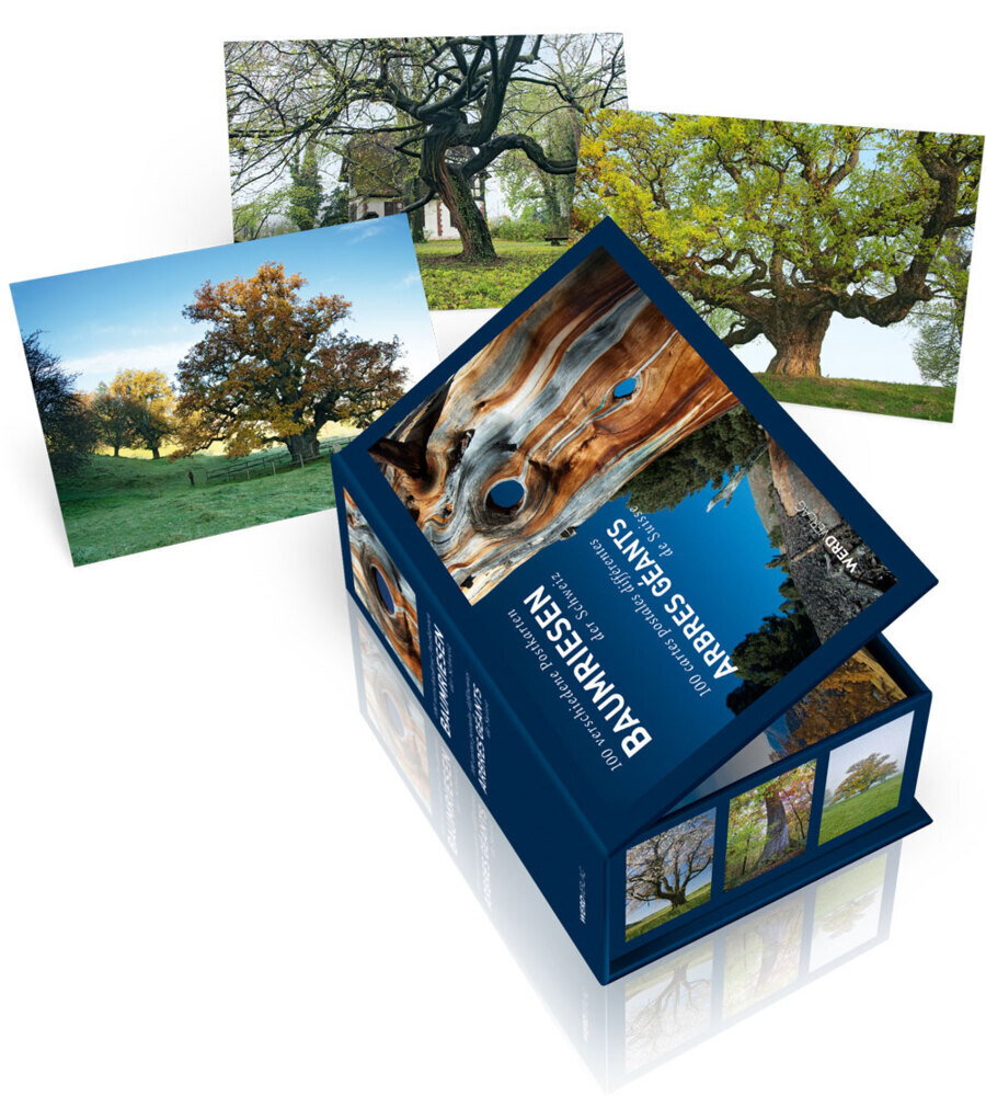 Cover: 9783859327290 | Baumriesen der Schweiz - Postkartenbox | 100 verschiedene Postkarten
