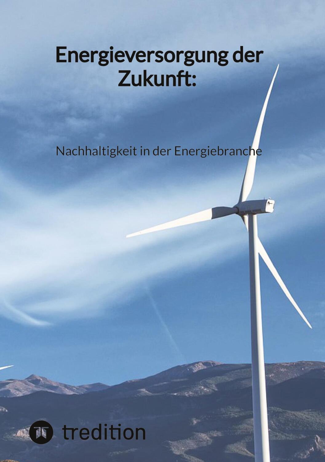 Cover: 9783347844377 | Energieversorgung der Zukunft: Nachhaltigkeit in der Energiebranche