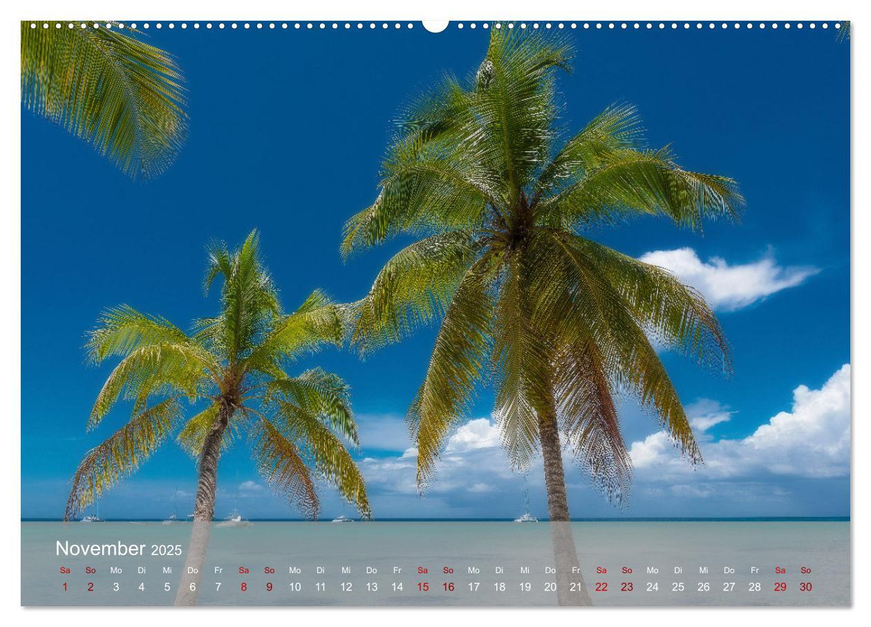 Bild: 9783435022137 | Karibik Traum Isla Saona (Wandkalender 2025 DIN A2 quer), CALVENDO...