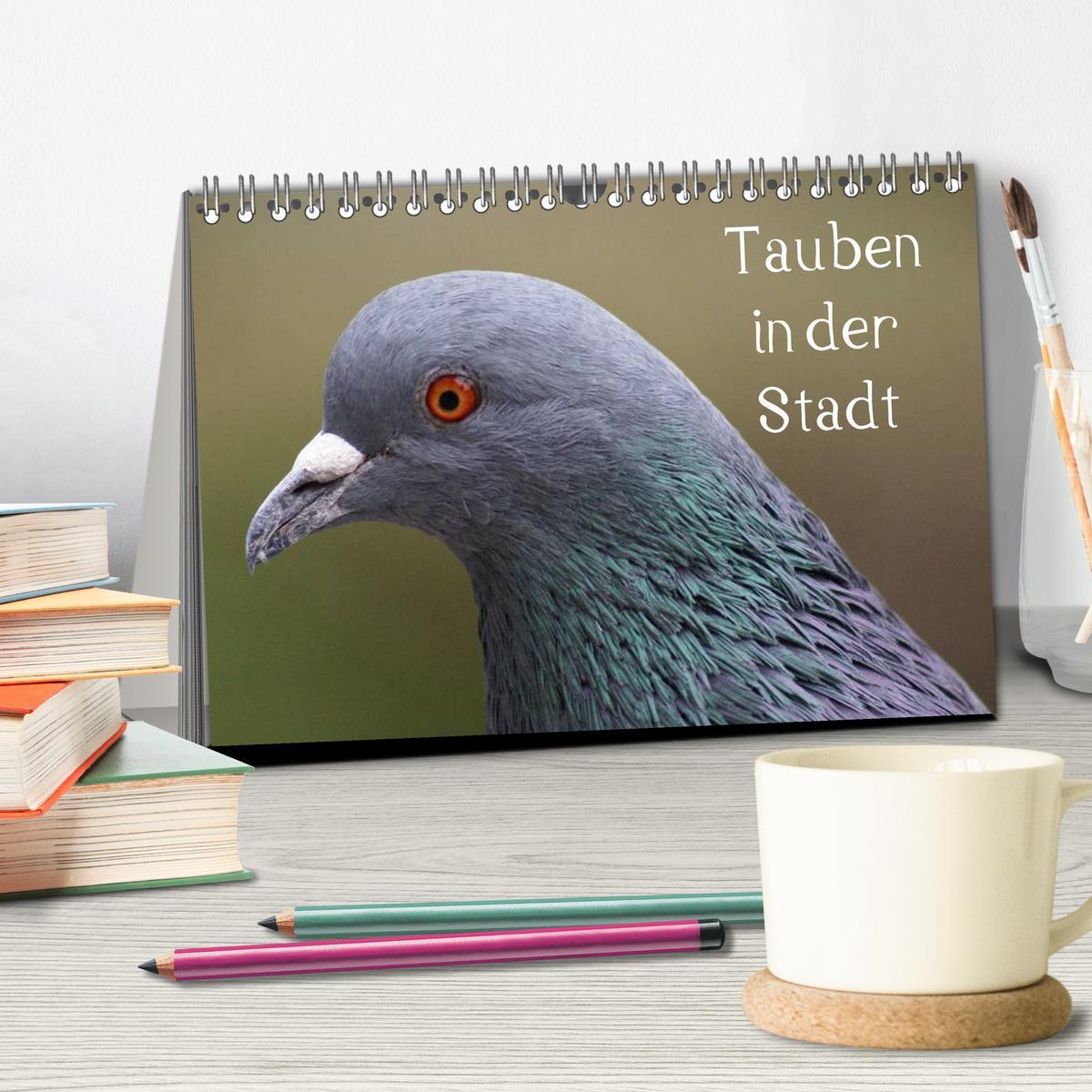 Bild: 9783435807031 | Tauben in der Stadt (Tischkalender 2025 DIN A5 quer), CALVENDO...