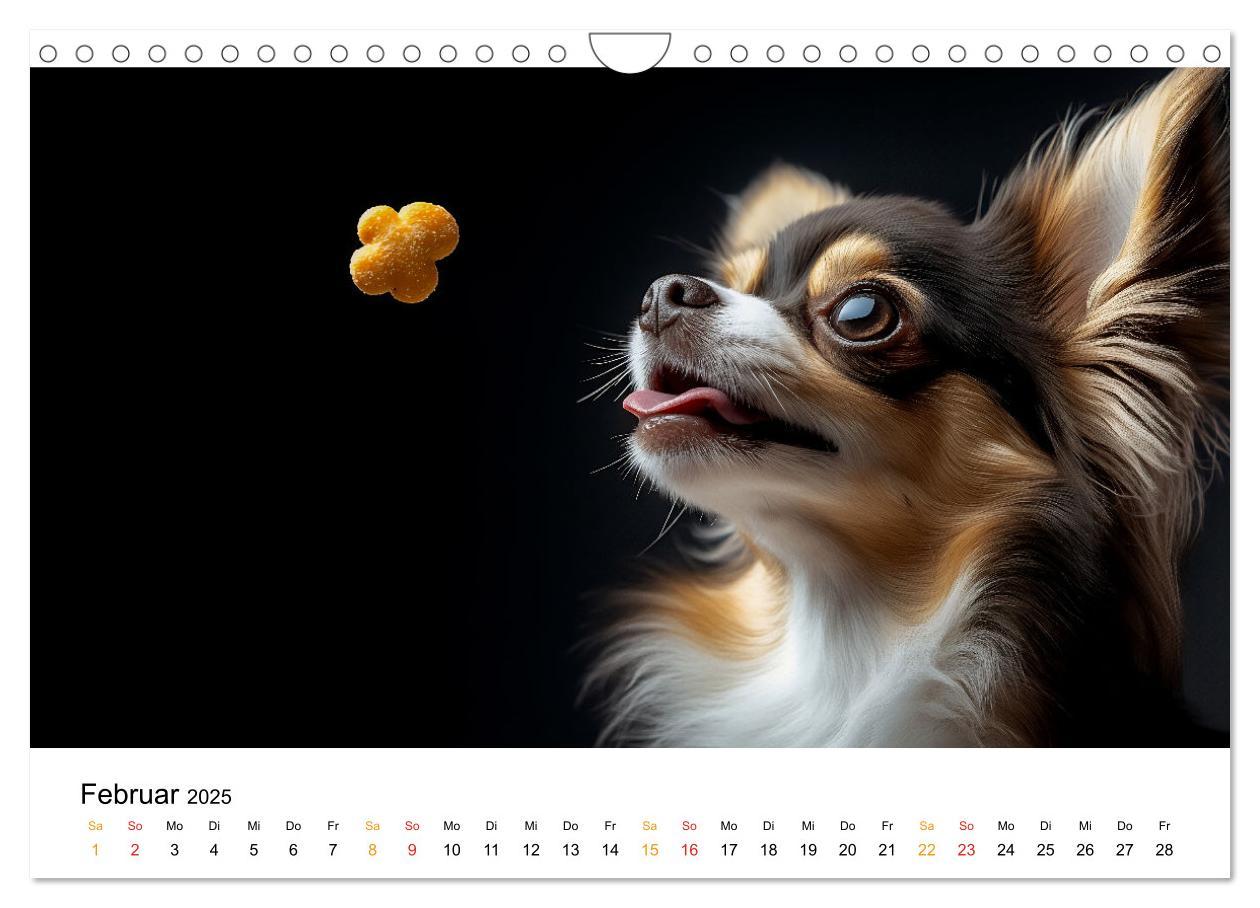 Bild: 9783457236932 | Chihuahua - kleine Energiebündel (Wandkalender 2025 DIN A4 quer),...