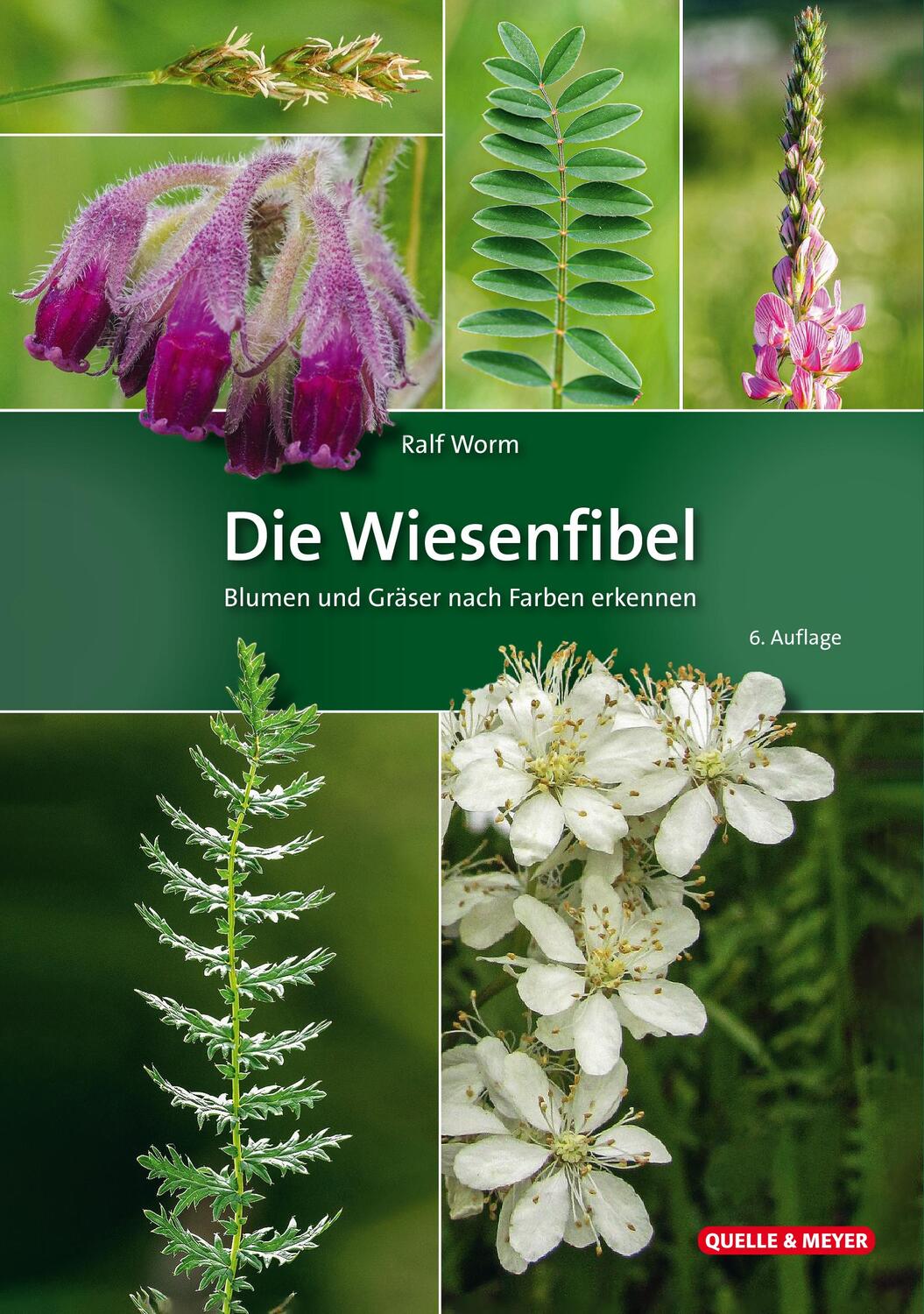 Cover: 9783494018577 | Die Wiesenfibel | Blumen und Gräser nach Farben erkennen | Ralf Worm