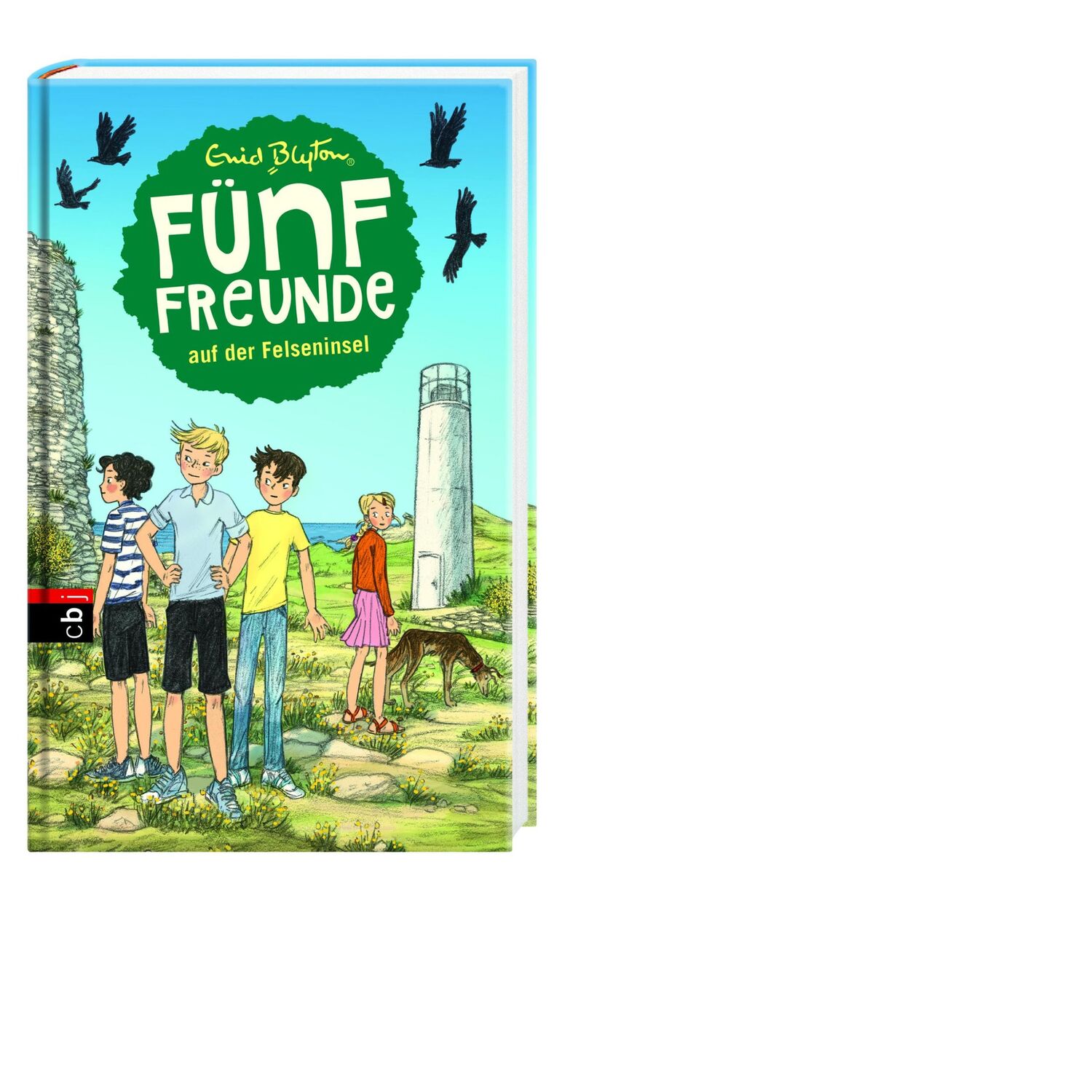 Bild: 9783570171646 | Fünf Freunde 06. Fünf Freunde auf der Felseninsel | Enid Blyton | Buch