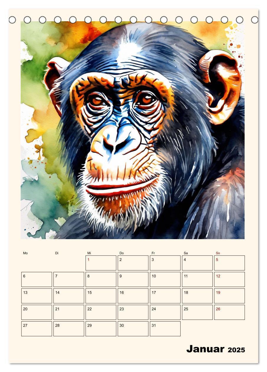 Bild: 9783383820274 | Schimpansen &amp; Gorillas (Tischkalender 2025 DIN A5 hoch), CALVENDO...