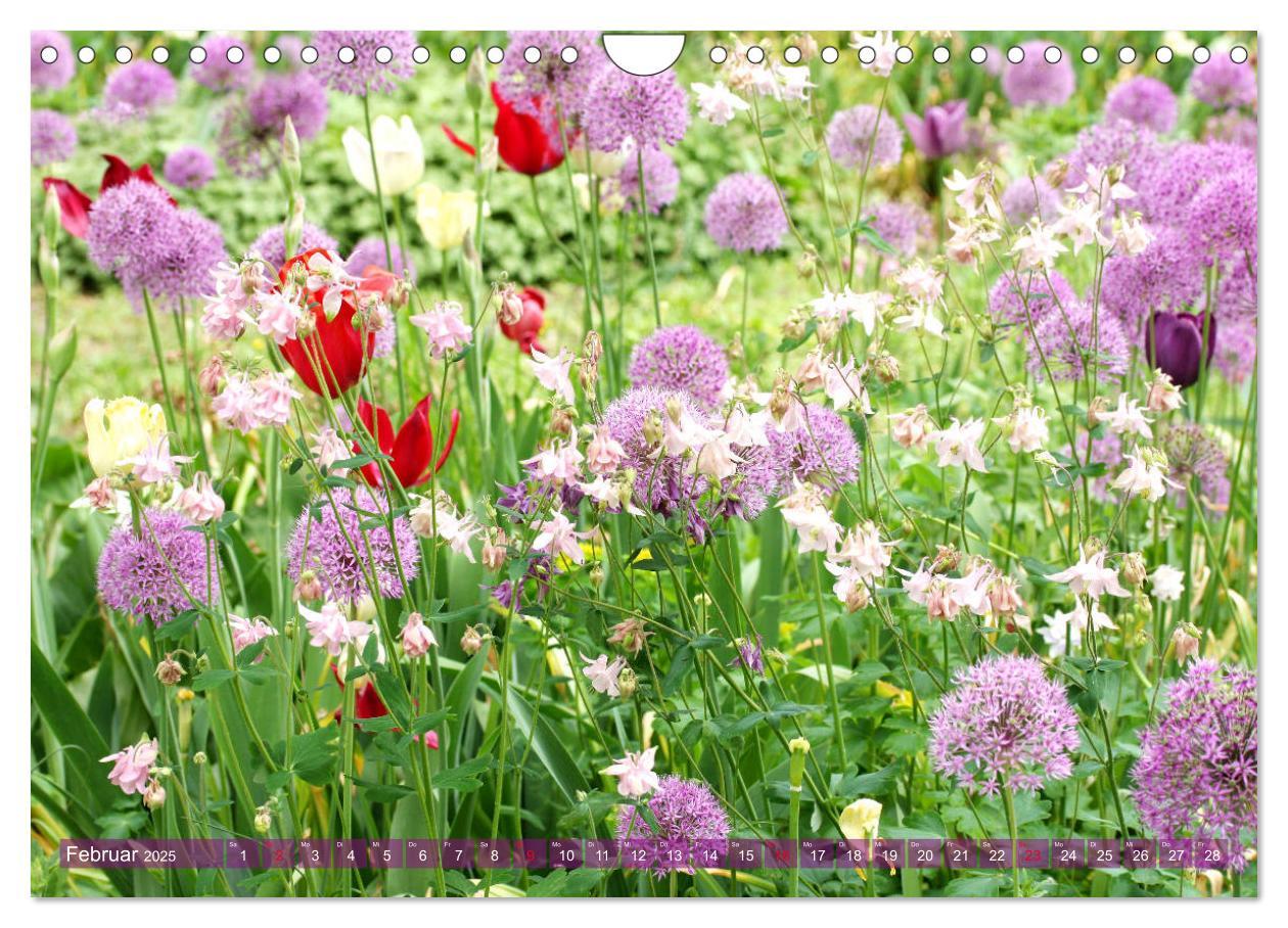 Bild: 9783435173181 | Beschwingte Blumenwelt (Wandkalender 2025 DIN A4 quer), CALVENDO...