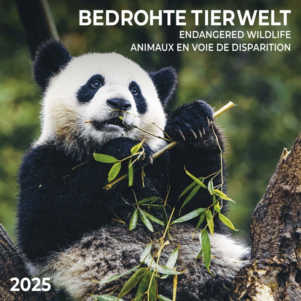 Cover: 9783959294775 | Bedrohte Tierwelt 2025 | Kalender 2025 | Kalender | Drahtheftung