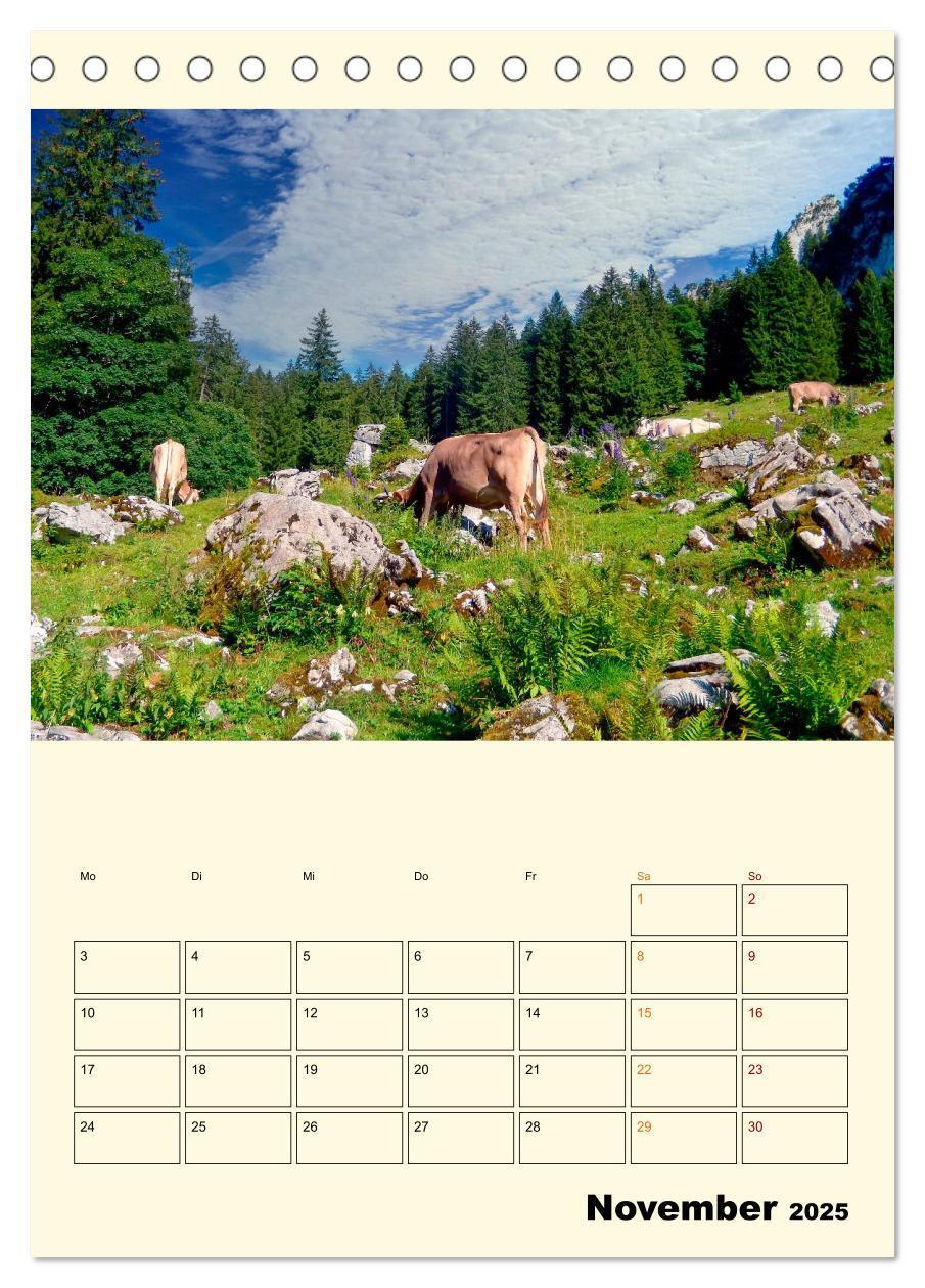 Bild: 9783435895526 | Glückliche Bergkühe (Tischkalender 2025 DIN A5 hoch), CALVENDO...