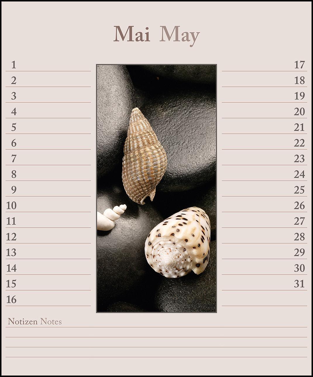 Bild: 9783832725198 | Shells &amp; Stones Geburtstagskalender | KG | Kalender | Spiralbindung