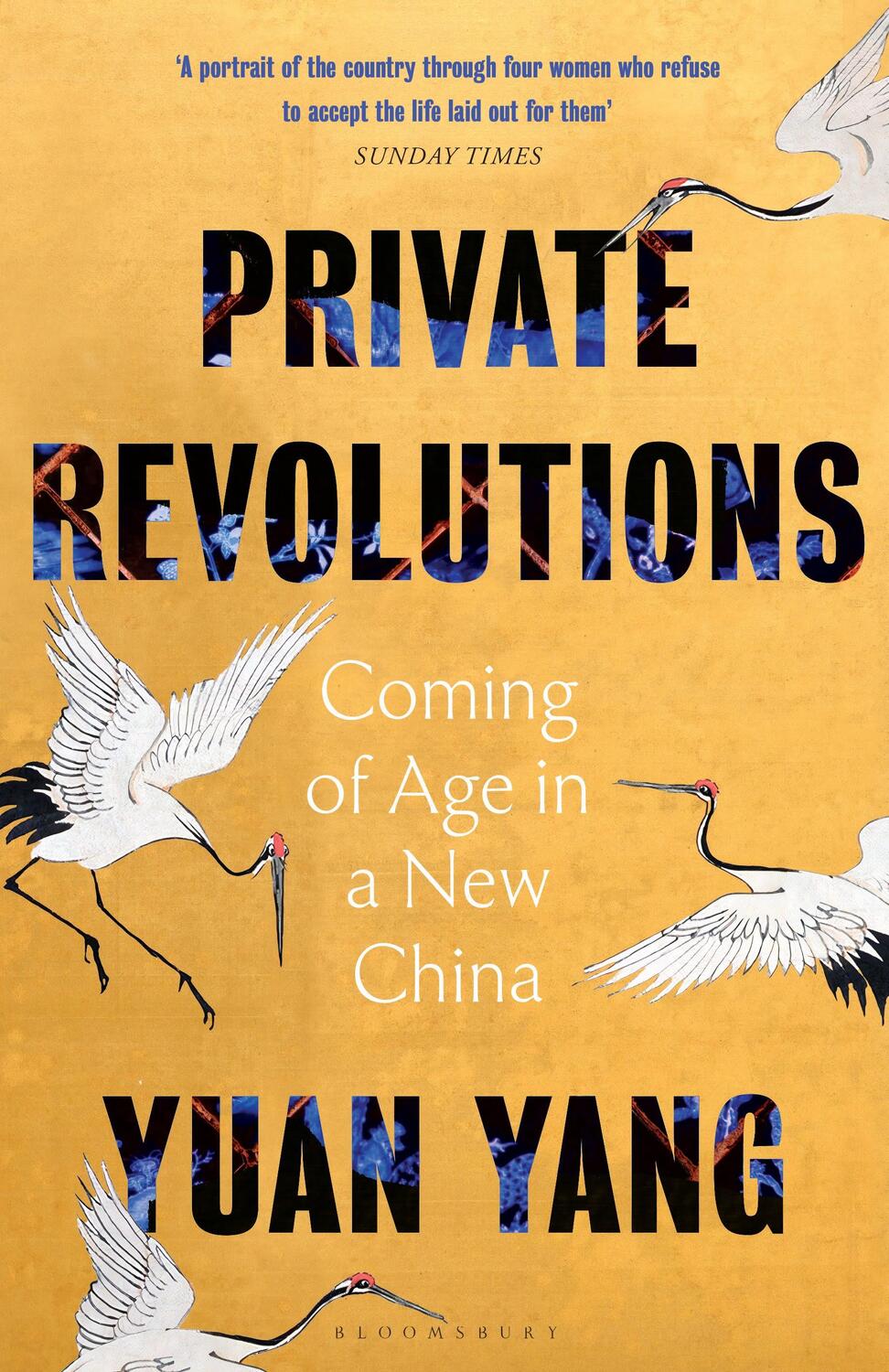 Cover: 9781526655905 | Private Revolutions | Coming of Age in a New China | Yuan Yang | Buch