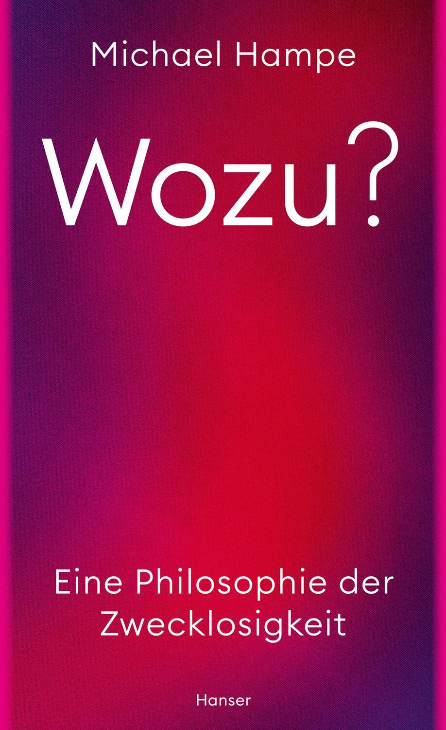 Cover: 9783446279162 | Wozu? | Eine Philosophie der Zwecklosigkeit | Michael Hampe | Buch