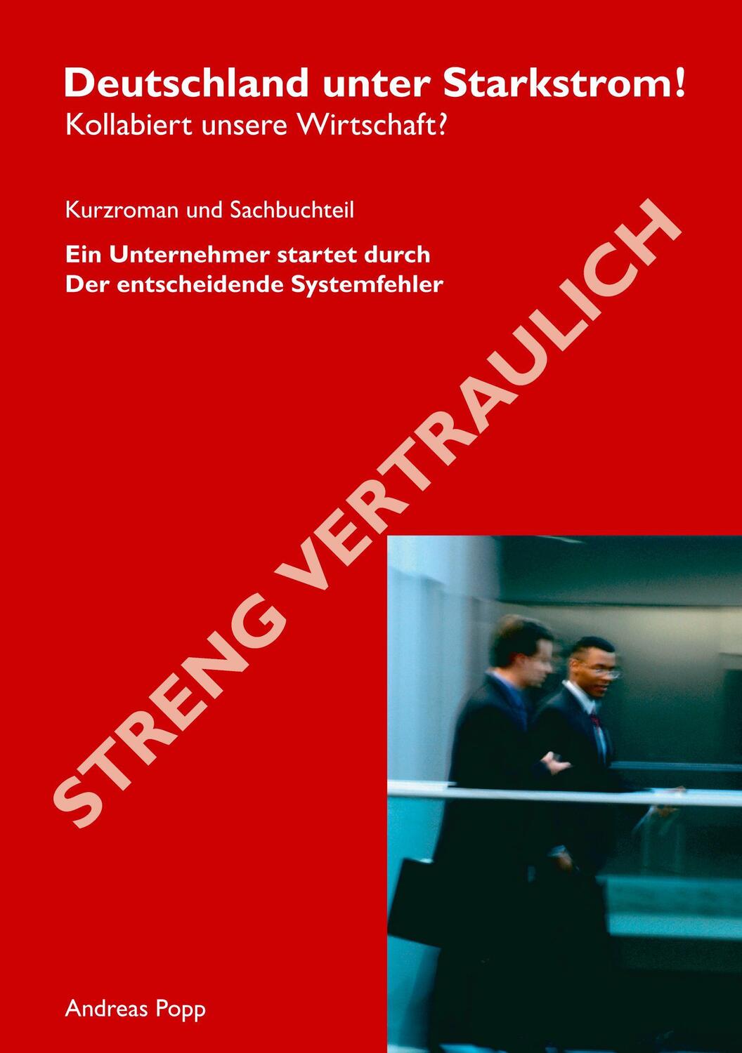 Cover: 9783833436895 | Deutschland unter Starkstrom | Kollabiert unsere Wirtschaft? | Popp