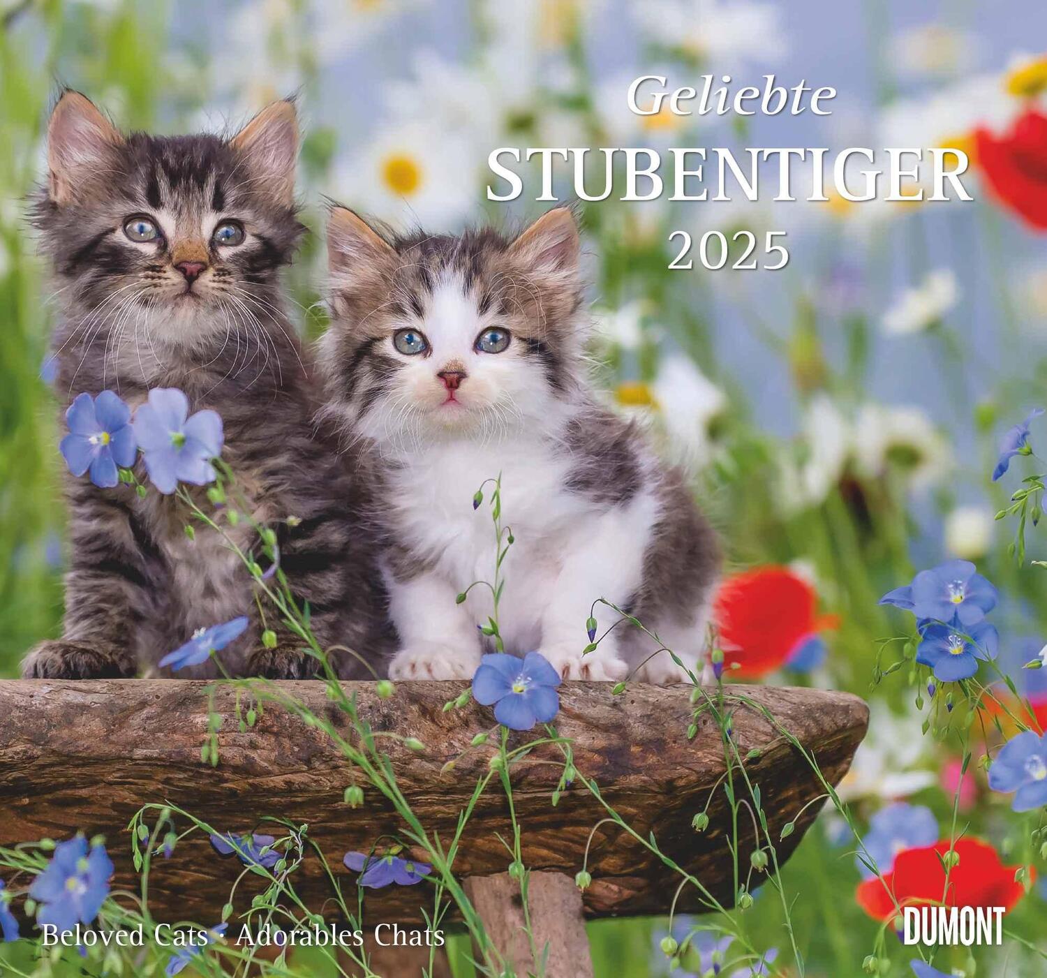 Cover: 4250809652498 | Geliebte Stubentiger 2025 - DUMONT Wandkalender - mit den...