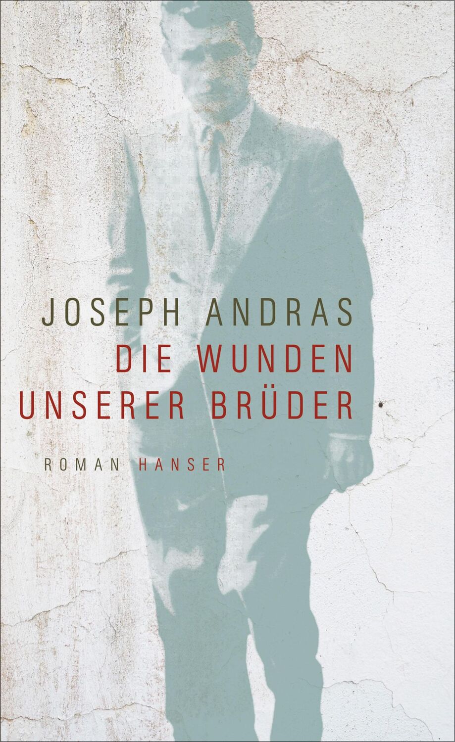 Cover: 9783446256415 | Die Wunden unserer Brüder | Joseph Andras | Buch | 160 S. | Deutsch