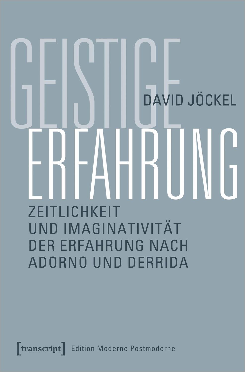 Cover: 9783837652314 | Geistige Erfahrung | David Jöckel | Taschenbuch | 308 S. | Deutsch