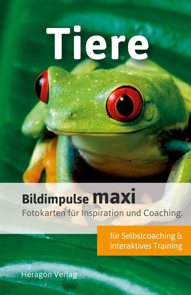 Cover: 9783942805827 | Bildimpulse maxi: Tiere | Fotokarten für Inspiration und Coaching.