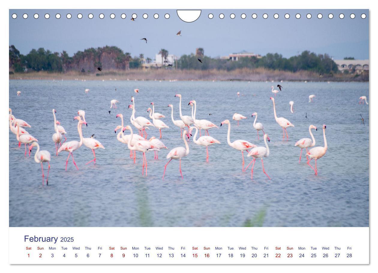 Bild: 9781325838066 | Kos Island - The Island of Hippocrates (Wall Calendar 2025 DIN A4...