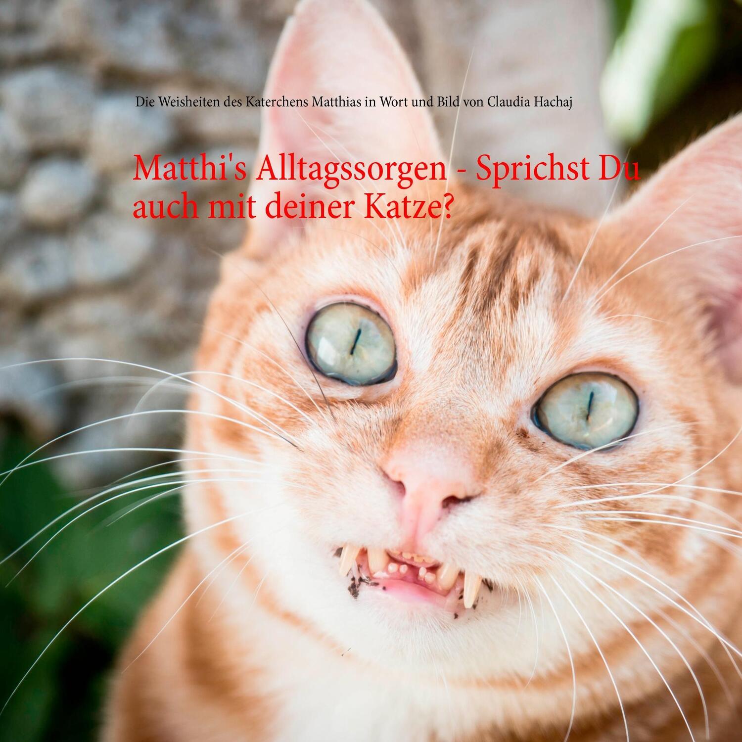 Cover: 9783744869959 | Matthi's Alltagssorgen - Sprichst Du auch mit deiner Katze? | Hachaj