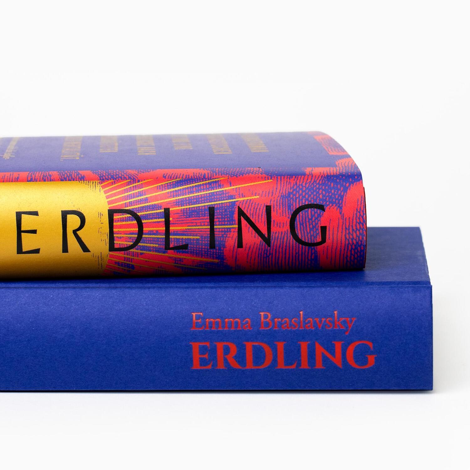 Bild: 9783518431016 | Erdling | Emma Braslavsky | Buch | 425 S. | Deutsch | 2023