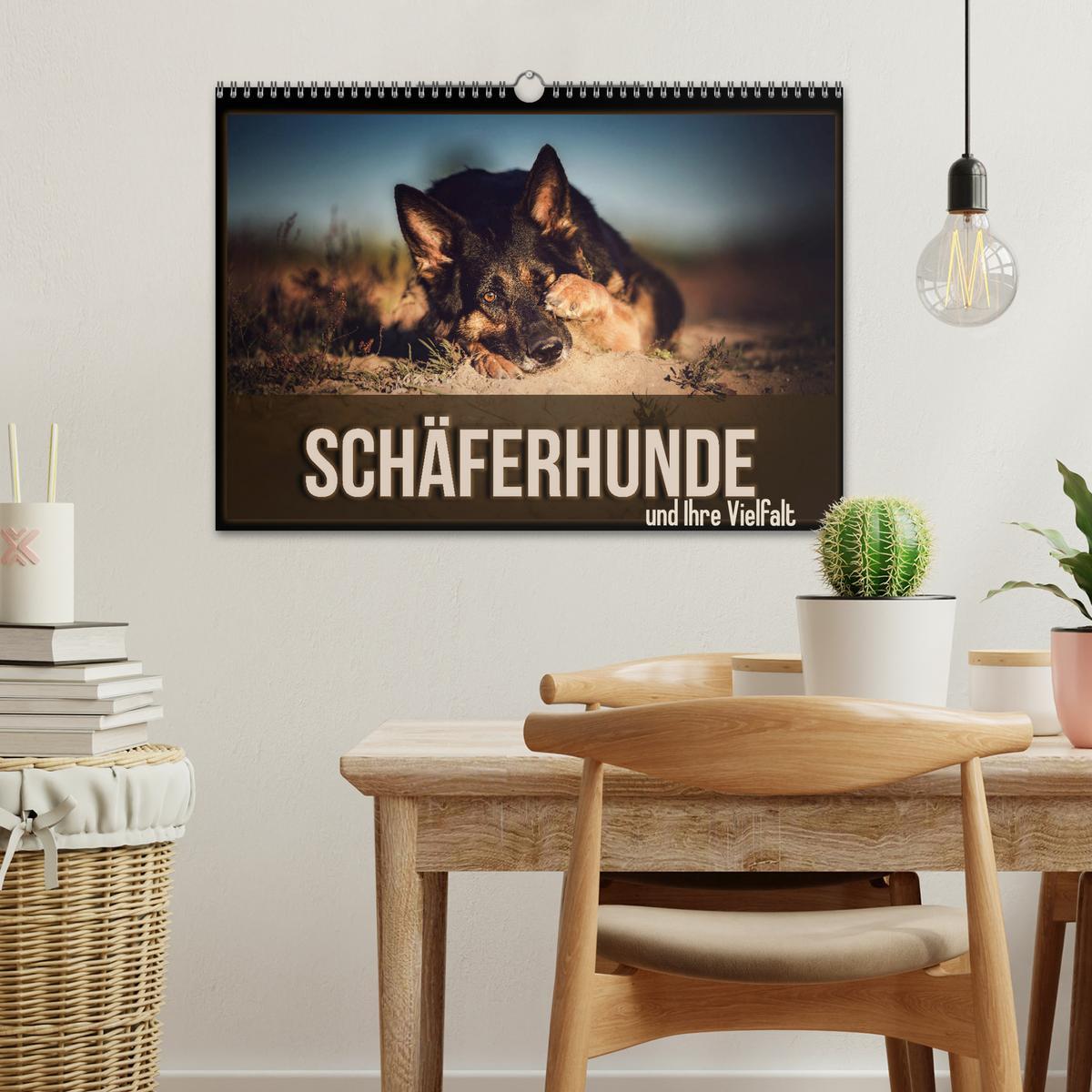 Bild: 9783435350988 | Schäferhunde und Ihre Vielfalt (Wandkalender 2025 DIN A3 quer),...