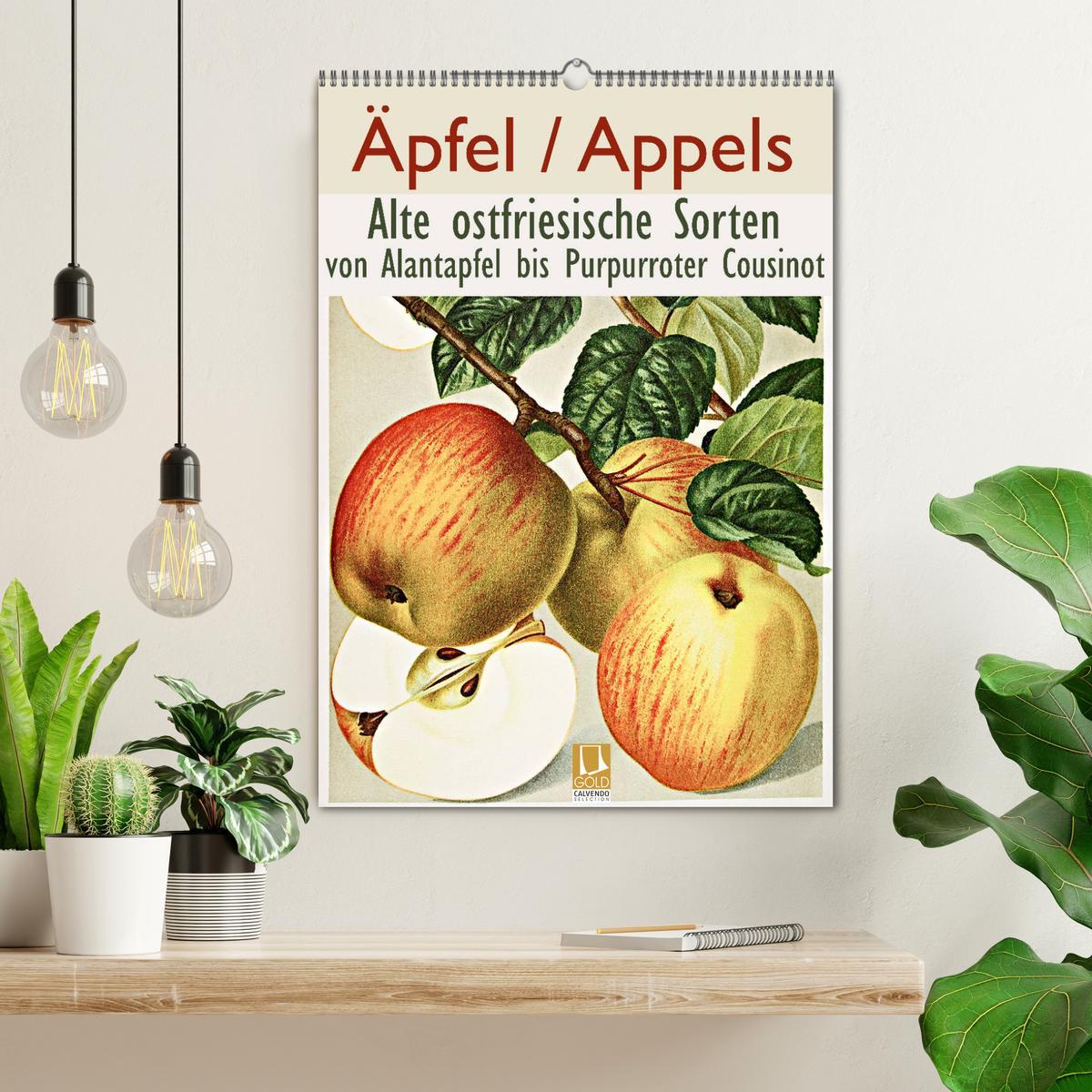 Bild: 9783435975921 | Äpfel/Appels. Alte ostfriesische Sorten (Wandkalender 2025 DIN A2...