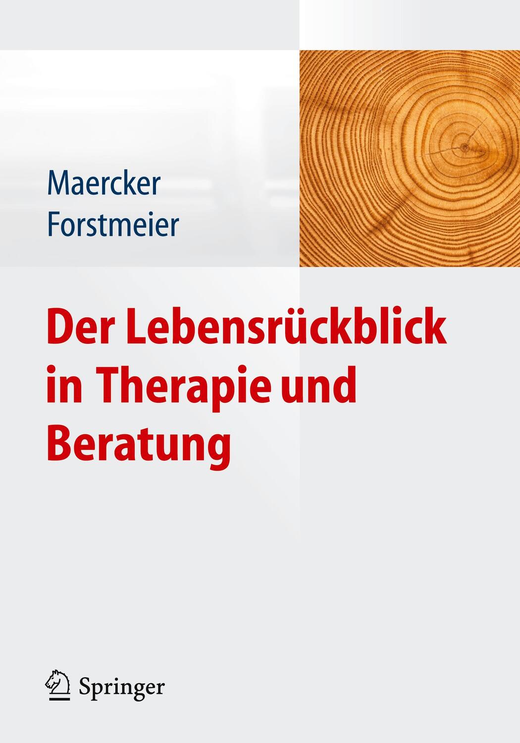 Cover: 9783642281983 | Der Lebensrückblick in Therapie und Beratung | Taschenbuch | XIV